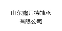 合作夥伴五